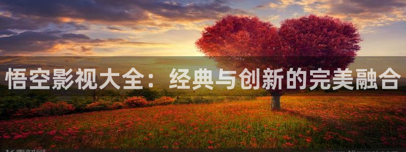 5678午夜电影：悟空影视大全：经典与创新的完美融合