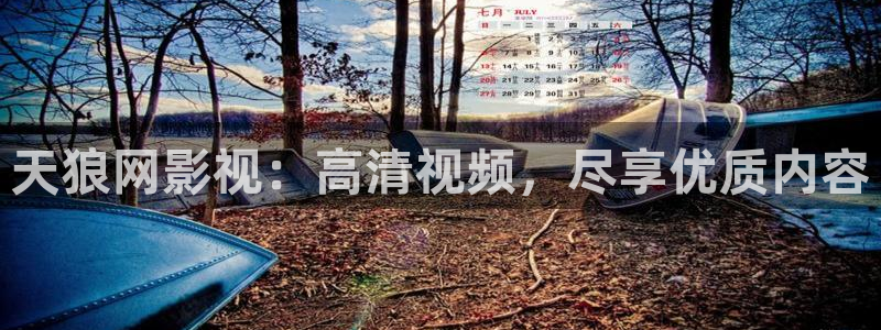 午夜成年人电影免费观看：天狼网影视：高清视频，尽享优质内容
