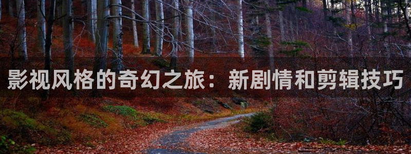 人体艺术午夜影院：影视风格的奇幻之旅：新剧情和剪辑技巧