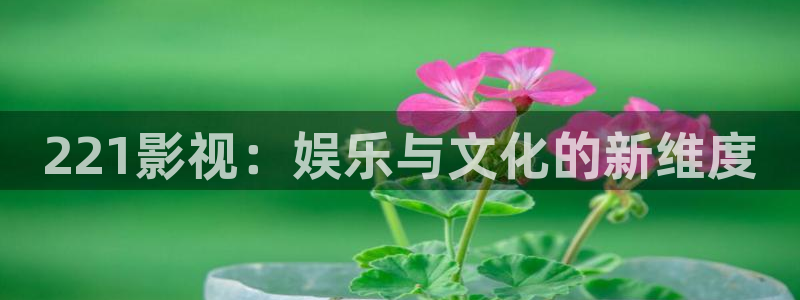 午夜神马成人影院：221影视：娱乐与文化的新维度