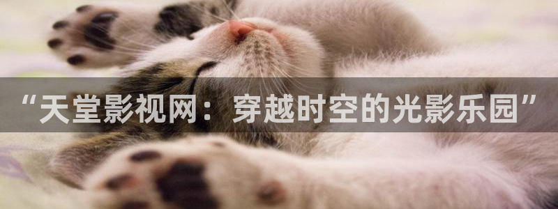 717电影午夜：“天堂影视网：穿越时空的光影乐园”