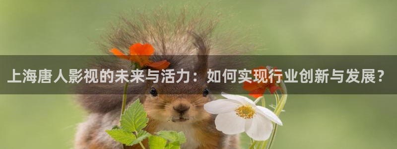 国产片午夜：上海唐人影视的未来与活力：如何实现行业创新与发展？